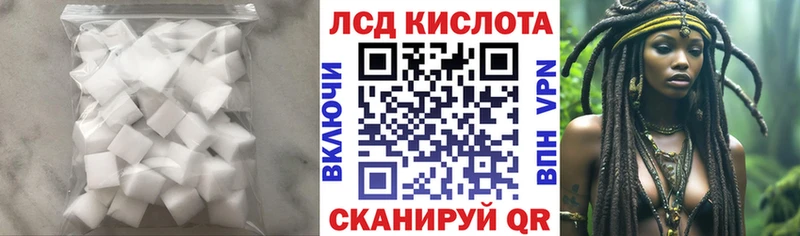 ссылка на мегу ссылка  Новозыбков  LSD-25 экстази ecstasy 
