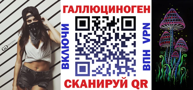 Галлюциногенные грибы MAGIC MUSHROOMS  где купить наркотик  Новозыбков 