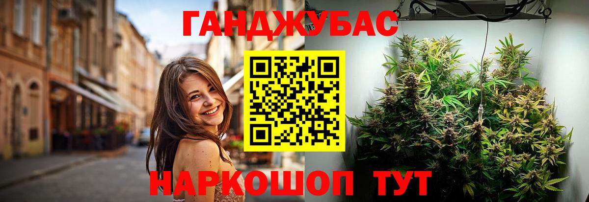 Бошки Шишки план  Канабис конопля  Новозыбков  Вход с VPN 